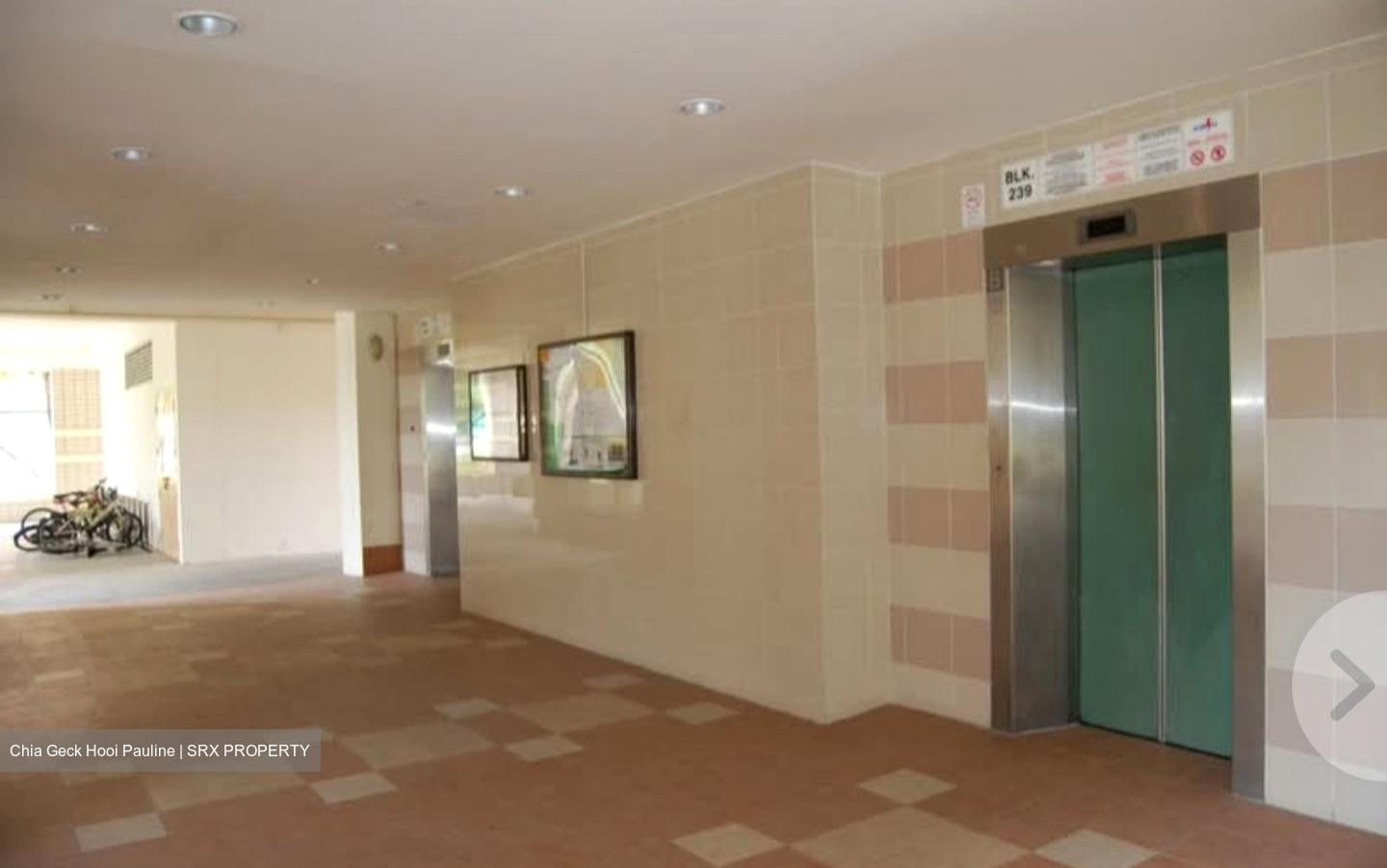 Blk 239 Pasir Ris Street 21 (Pasir Ris), HDB Executive #605508061